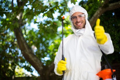 Pest Control in Bellingham, SE6. Call Now 020 8166 9746